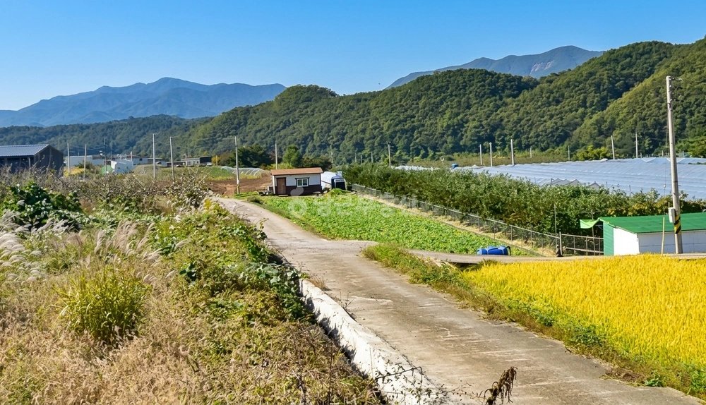 경상북도 영천시 화북면 토지 사진 1