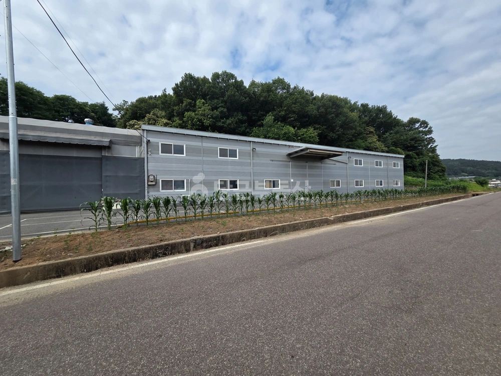충청남도 천안시 동남구 성남면 공장/창고 사진 1