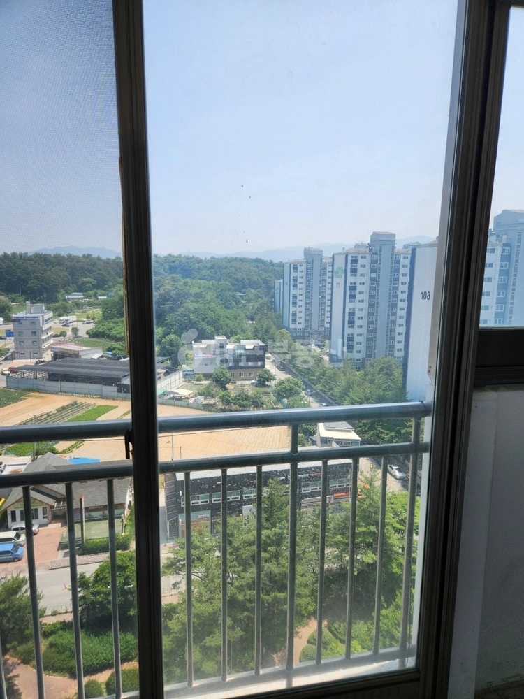 강원특별자치도 강릉시 입암동 아파트 사진 1