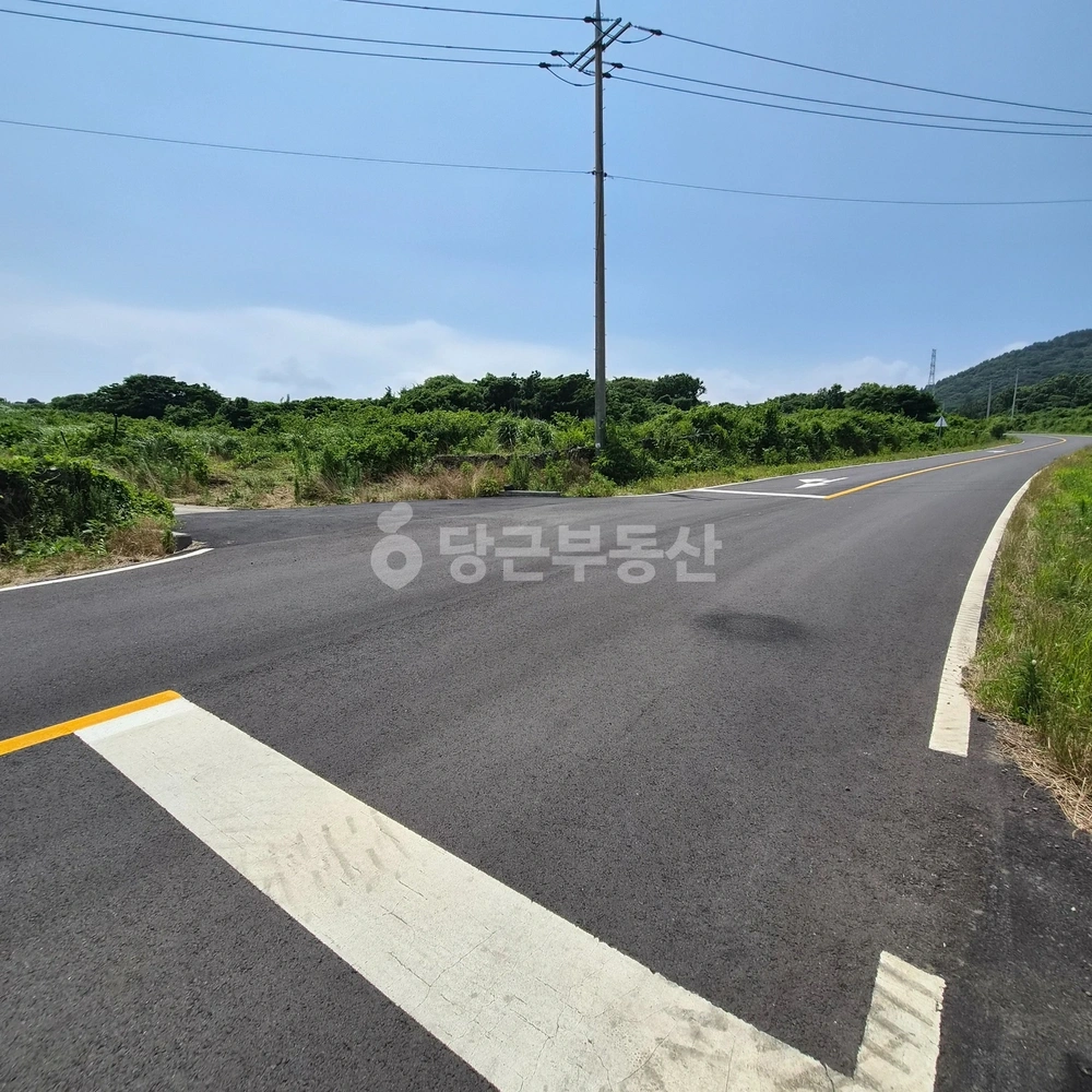 제주특별자치도 제주시 조천읍 토지 사진 1
