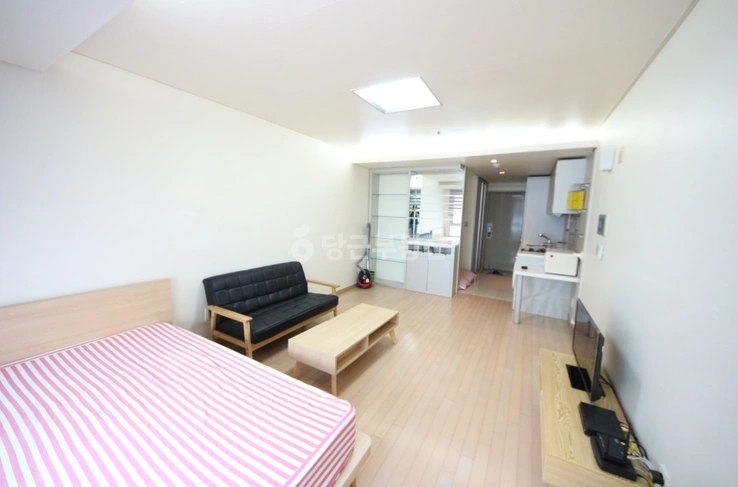 서울특별시 강남구 역삼동 오피스텔 사진 1