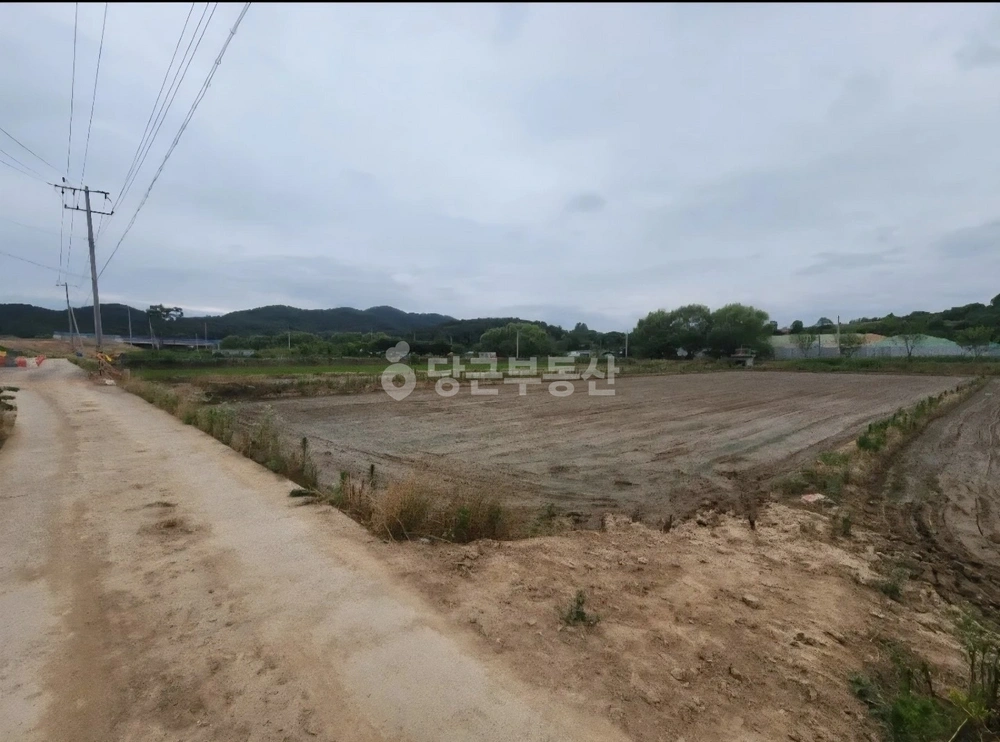 전남광주통합특별시 서구 세하동 토지 사진 1