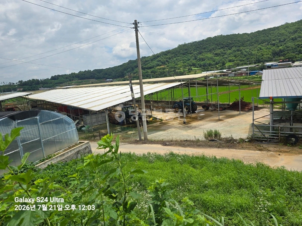 경상북도 의성군 다인면 토지 사진 1