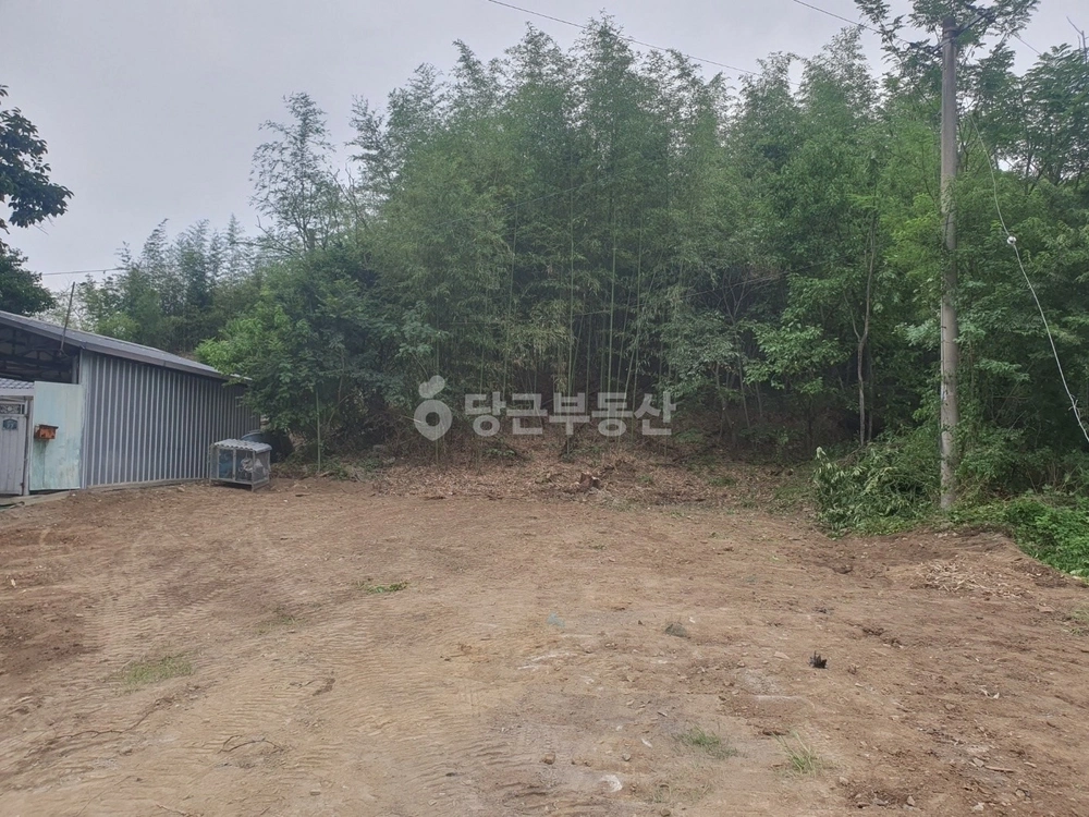 경상북도 경산시 진량읍 토지 사진 1