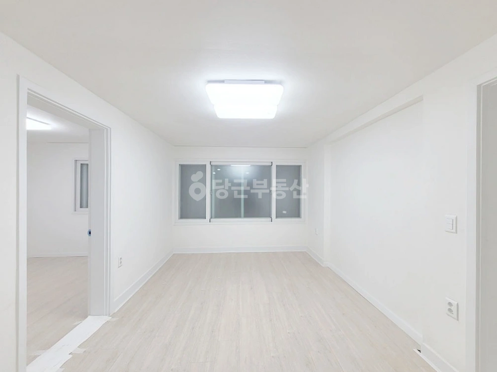 서울특별시 강남구 청담동 빌라(투룸 이상) 사진 1