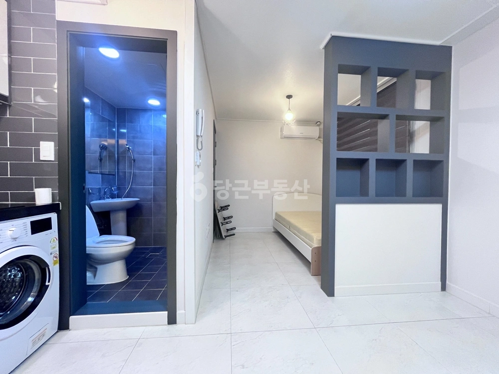 대전광역시 서구 둔산동 원룸 사진 1