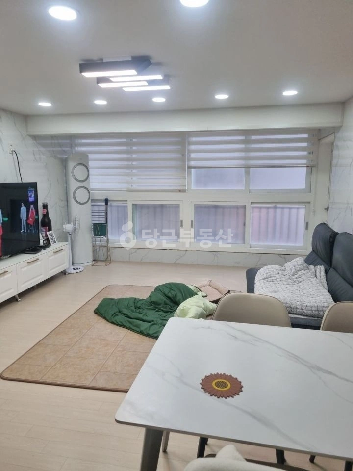 제주특별자치도 제주시 봉개동 빌라(투룸 이상) 사진 1