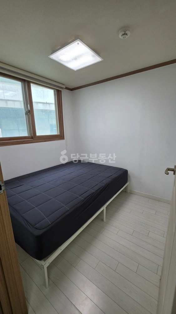 제주특별자치도 서귀포시 중문동 빌라(투룸 이상) 사진 1