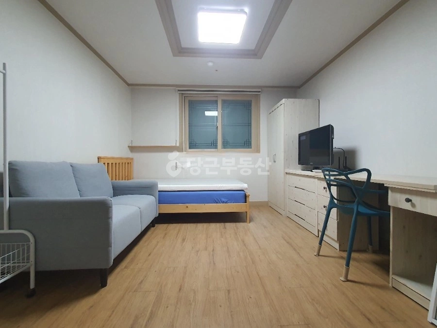 대전광역시 서구 둔산동 원룸 사진 1