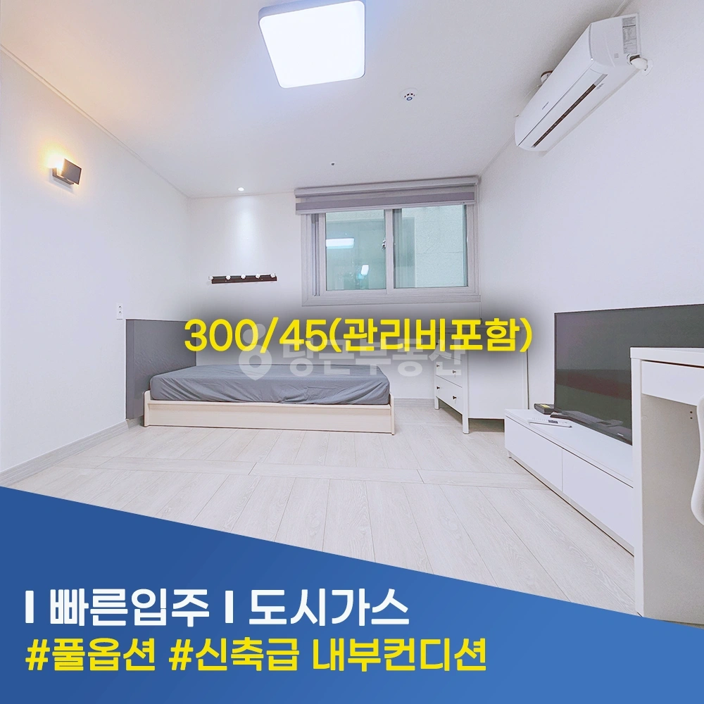 충청북도 음성군 금왕읍 원룸 사진 1
