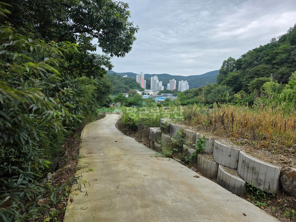 충청남도 공주시 금학동 토지 사진 1