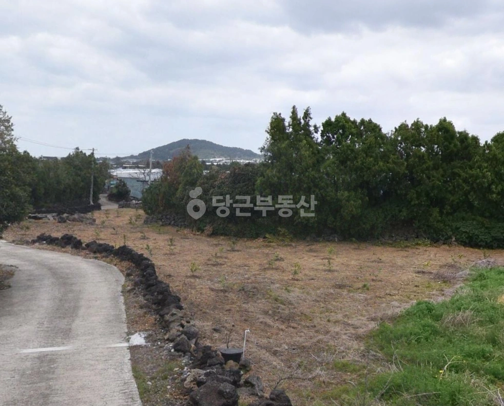 제주특별자치도 제주시 한림읍 토지 사진 1