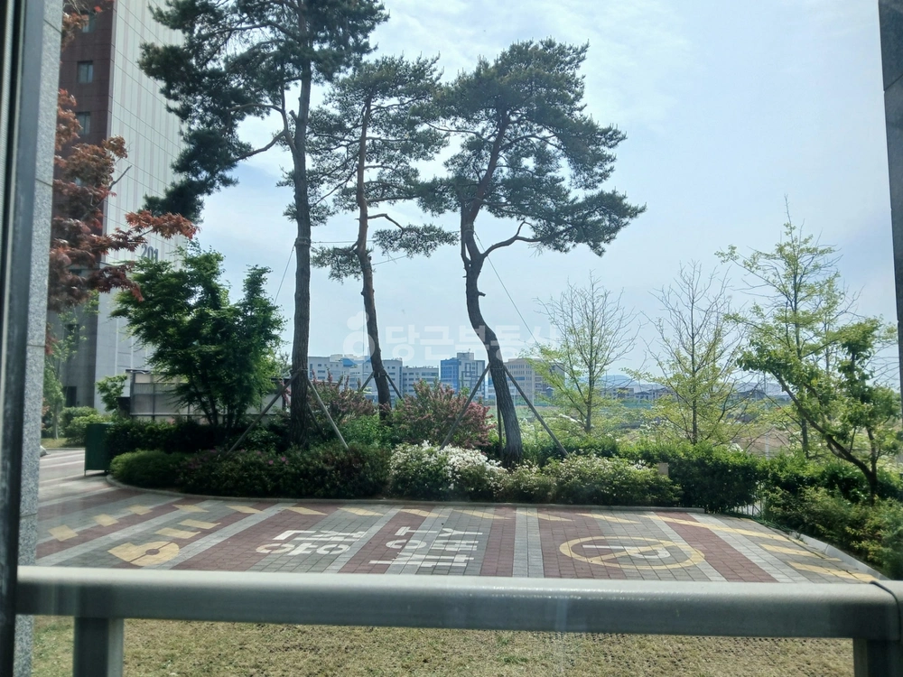 부산광역시 강서구 명지동 아파트 사진 1