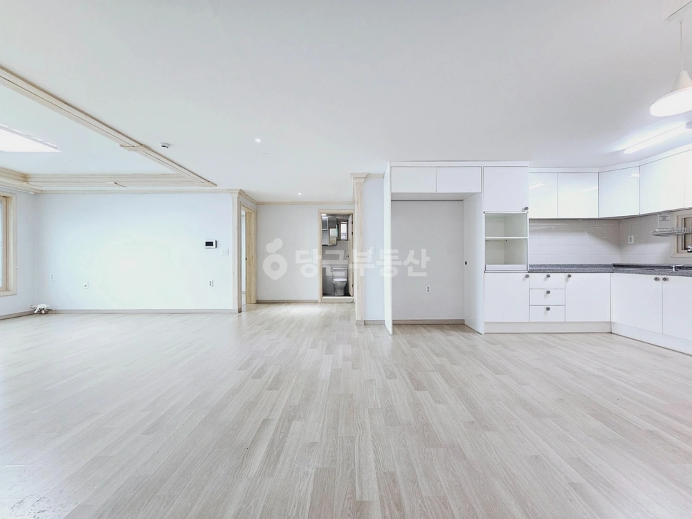 대전광역시 중구 유천동 빌라(투룸 이상) 사진 1