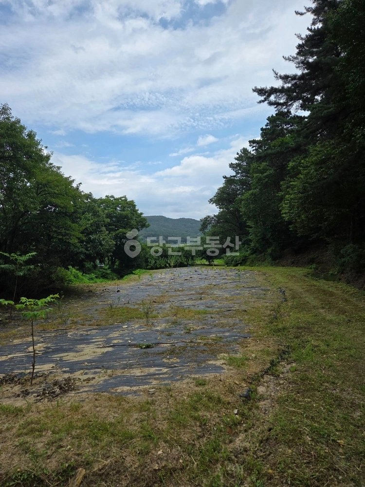 대전광역시 유성구 성북동 토지 사진 1