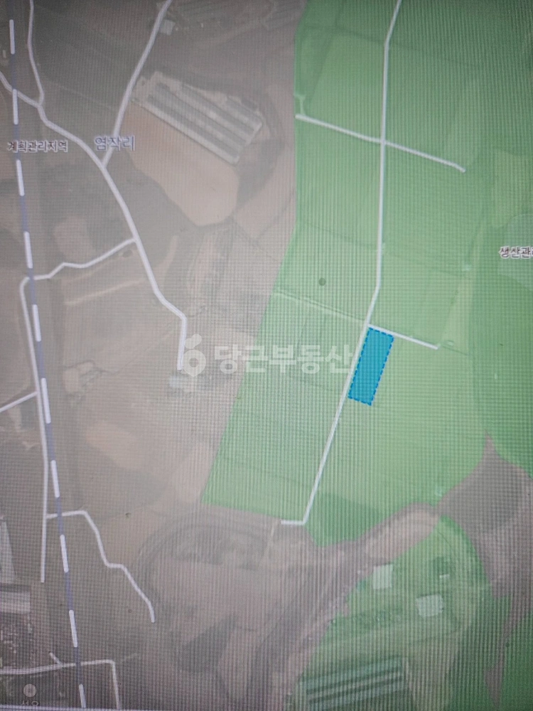 충청남도 아산시 둔포면 토지 사진 1