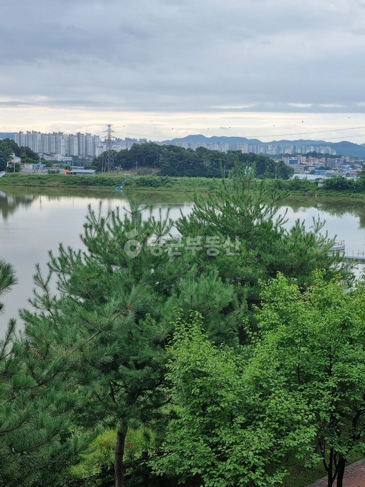 충청북도 진천군 덕산읍 원룸 사진 1