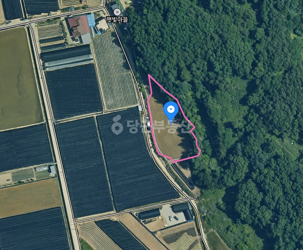 충청남도 금산군 군북면 토지 사진 1