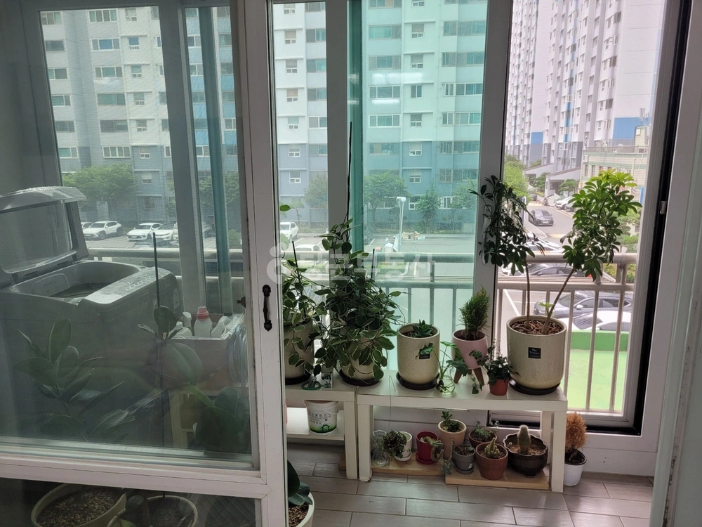 경상남도 창원시 마산합포구 해운동 아파트 사진 1