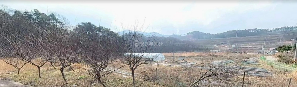 전북특별자치도 전주시 완산구 용복동 토지 사진 1