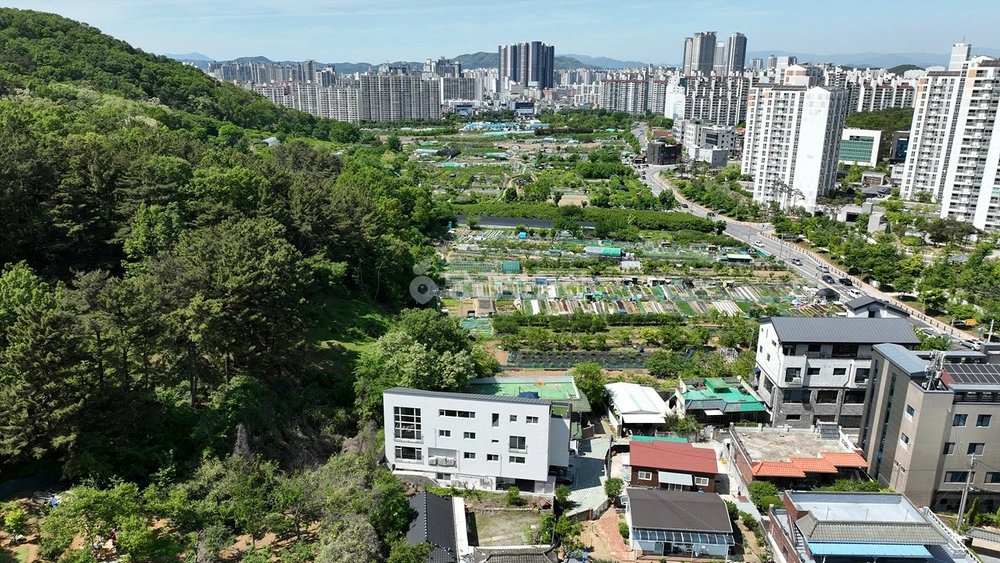 대구광역시 달서구 대곡동 단독/전원주택 사진 1