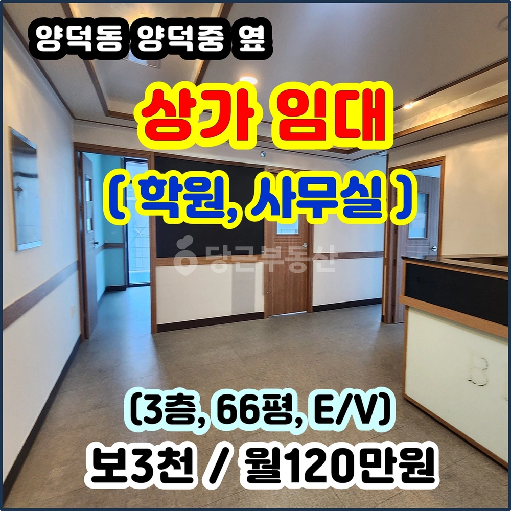 경상북도 포항시 북구 양덕동 상가 사진 1