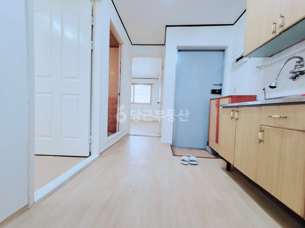 대전광역시 서구 도마동 빌라(투룸 이상) 사진 1
