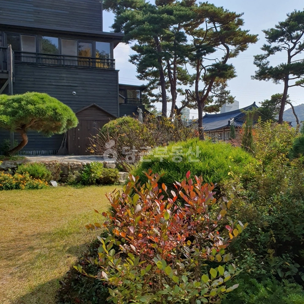 충청남도 예산군 덕산면 단독/전원주택 사진 1