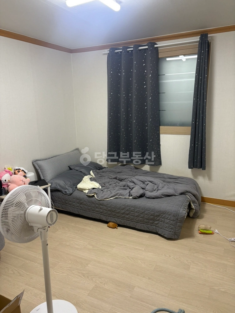 대구광역시 남구 대명동 빌라(투룸 이상) 사진 1