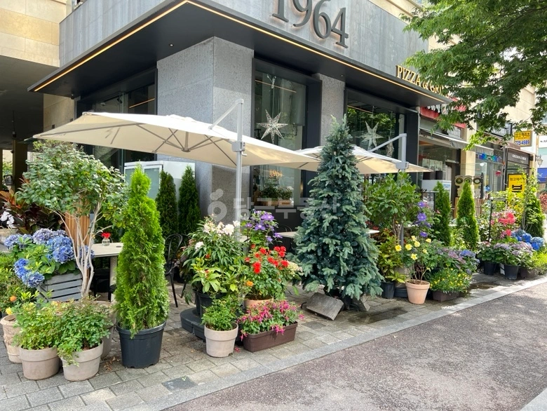 경기도 성남시 분당구 정자동 상가 사진 1