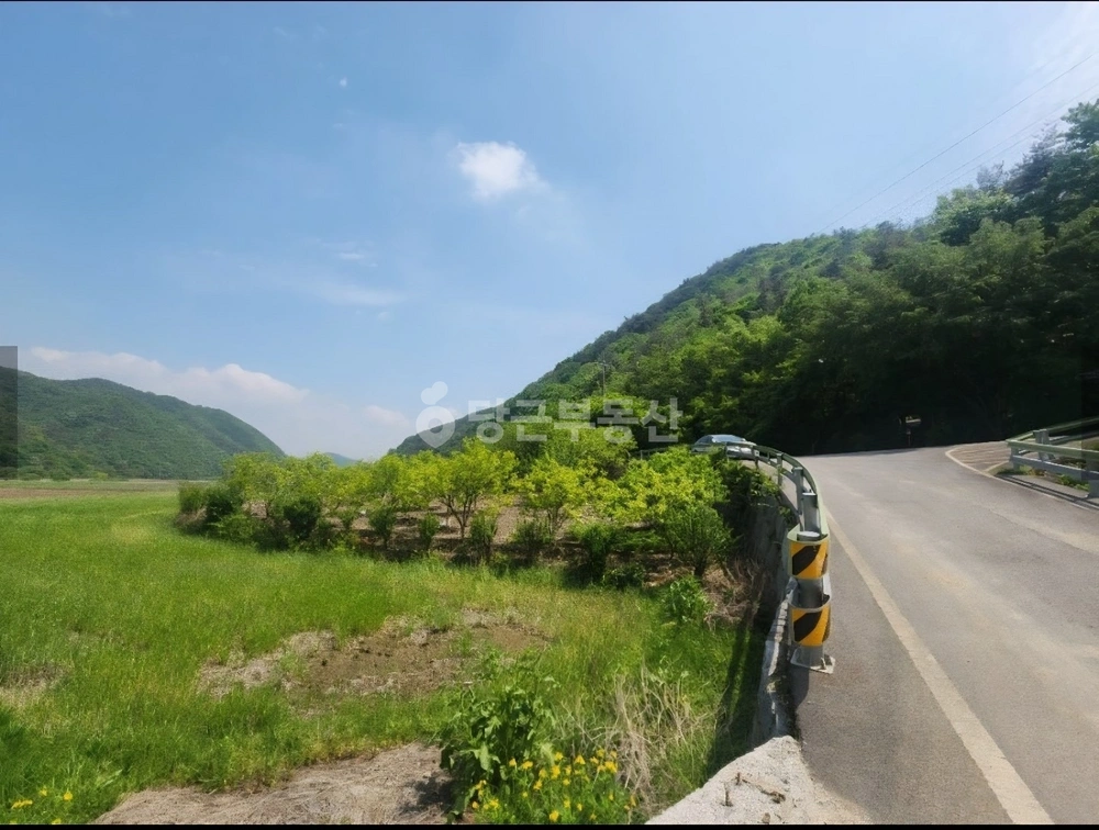 전남광주통합특별시 화순군 이서면 토지 사진 1
