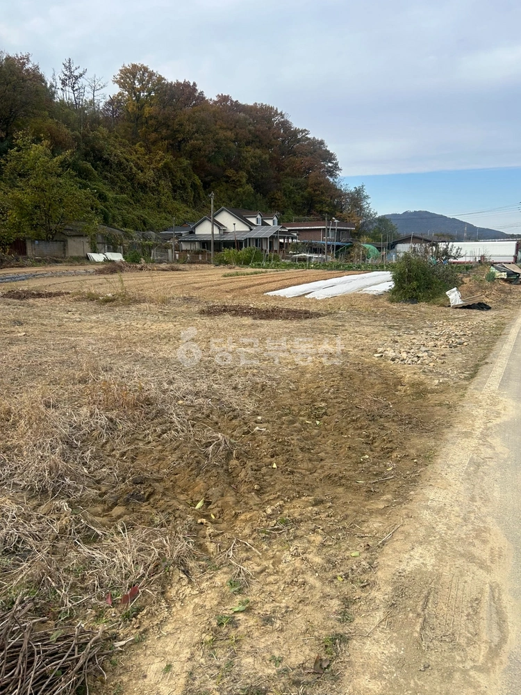 경상남도 창녕군 대합면 토지 사진 1