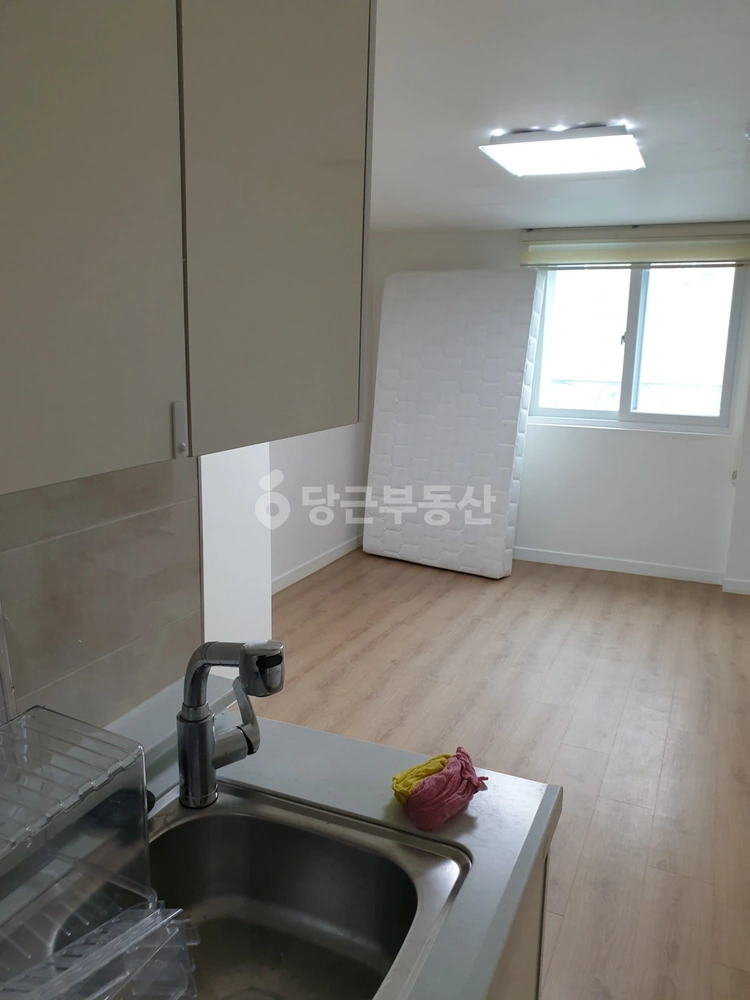 서울특별시 동대문구 용두동 원룸 사진 1