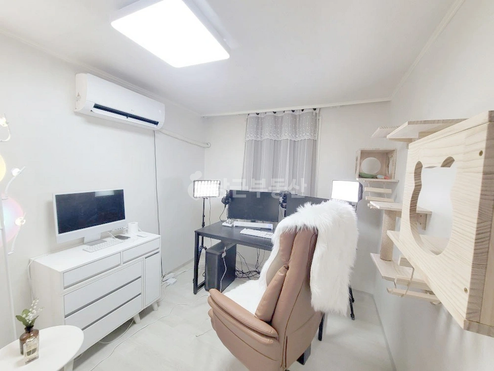 서울특별시 강남구 신사동 원룸 사진 1