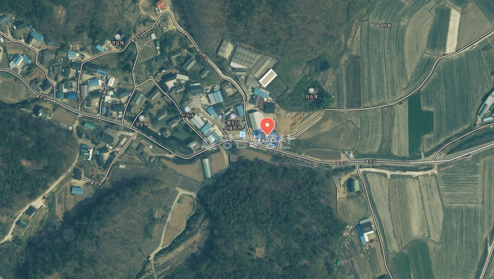 대구광역시 군위군 효령면 토지 사진 1