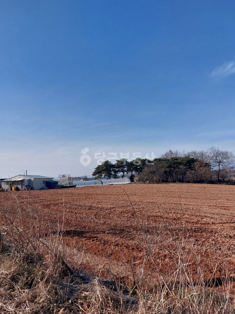 충청남도 예산군 신암면 토지 사진 1