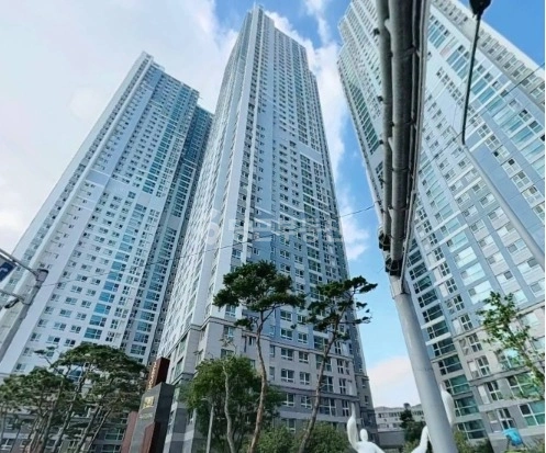 부산광역시 동구 수정동 아파트 사진 1
