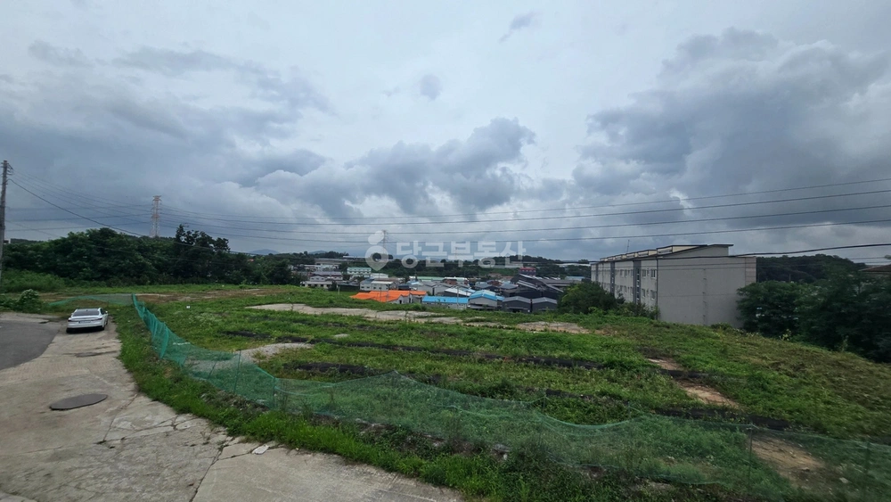경기도 고양시 일산동구 성석동 토지 사진 1