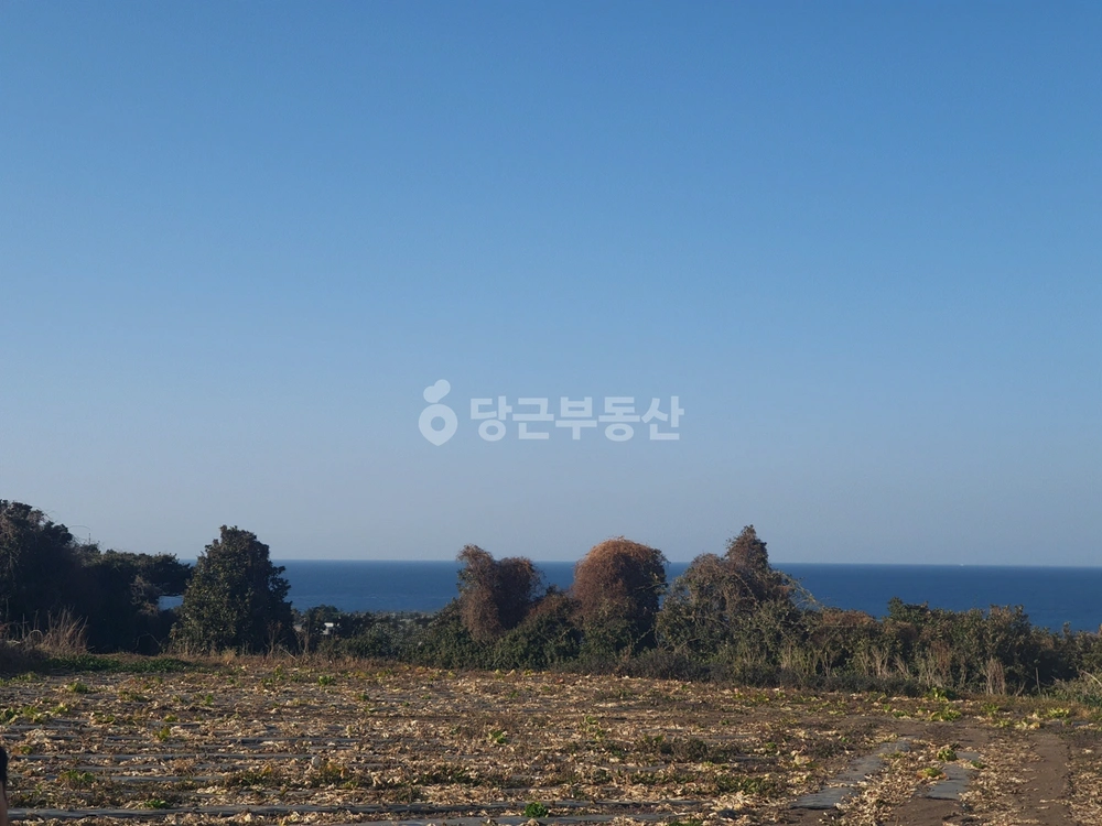 제주특별자치도 제주시 조천읍 토지 사진 1