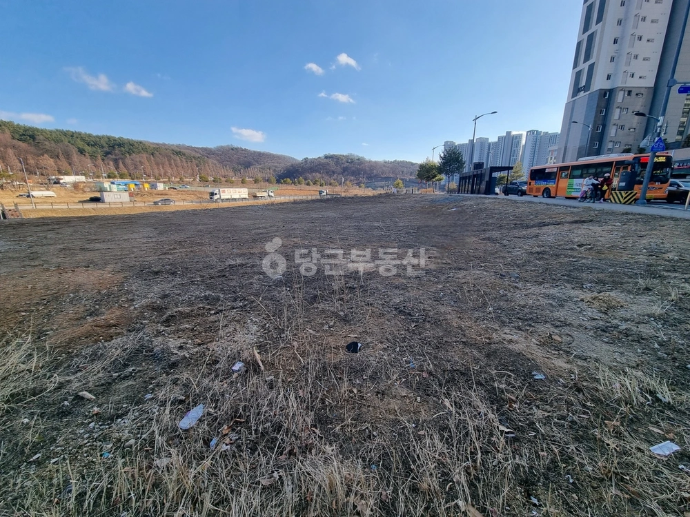 충청남도 계룡시 금암동 토지 사진 1