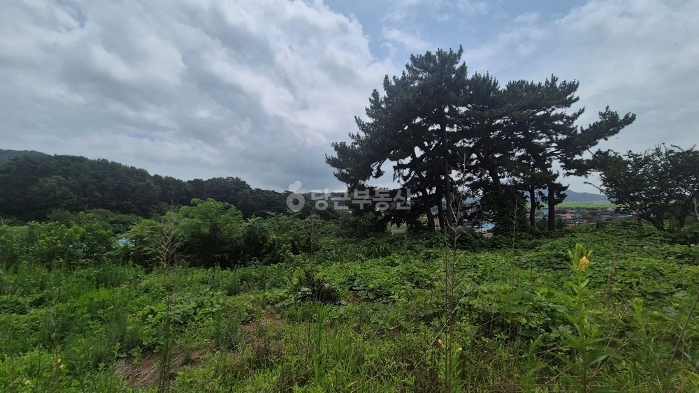 전북특별자치도 군산시 나포면 토지 사진 1