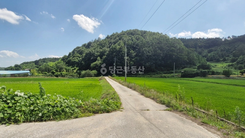 전북특별자치도 임실군 오수면 토지 사진 1