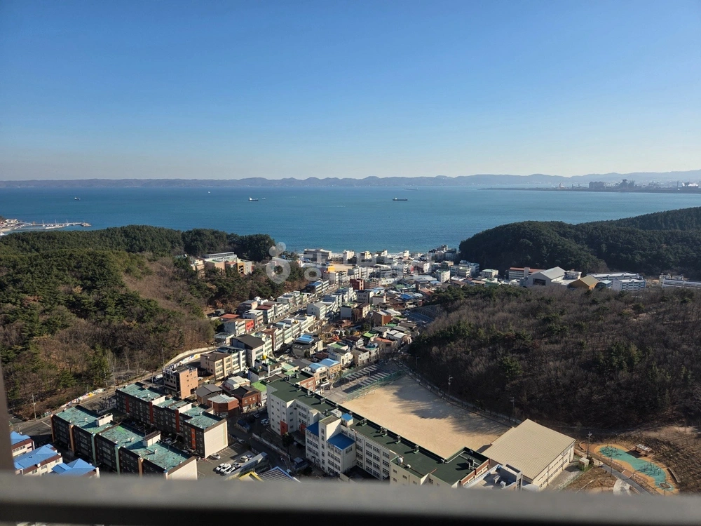 경상북도 포항시 북구 양덕동 아파트 사진 1