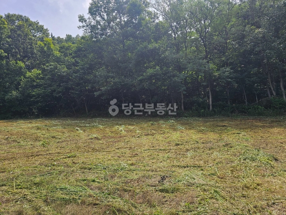 경상북도 상주시 중동면 토지 사진 1