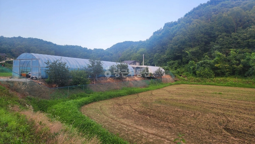 충청남도 공주시 이인면 토지 사진 1