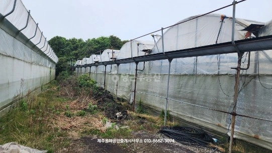 제주특별자치도 서귀포시 표선면 토지 사진 1