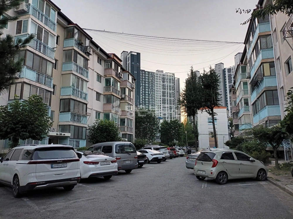 경상북도 포항시 북구 창포동 아파트 사진 1