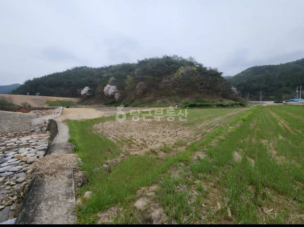 전남광주통합특별시 화순군 동복면 토지 사진 1