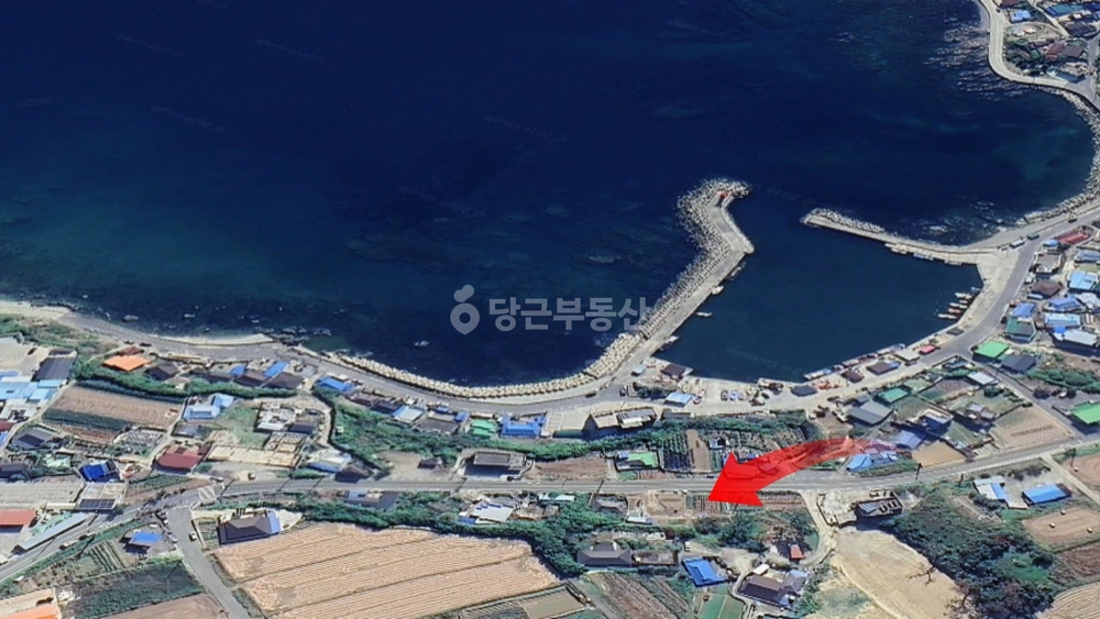 경상북도 포항시 남구 구룡포읍 토지 사진 1