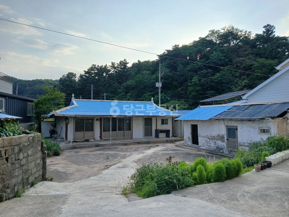 경상북도 울진군 근남면 단독/전원주택 사진 1